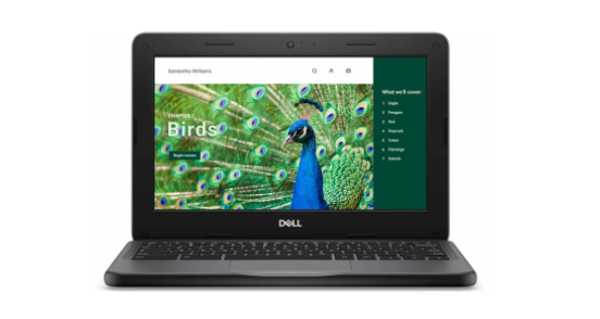 Picture of Dell 3120